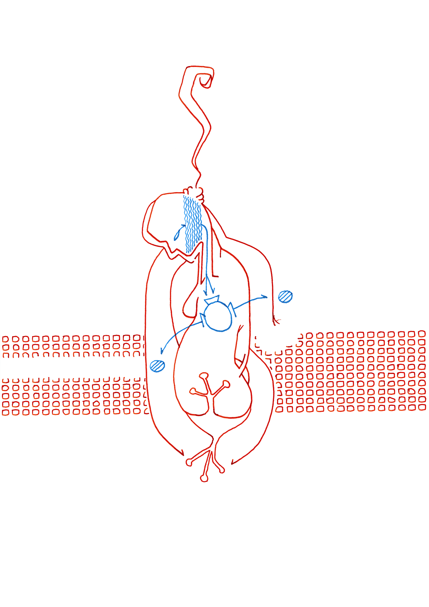 Hannes Kater  Tageszeichnung (Zeichnung/drawing) vom 27.08.2015 (1414 x 2000 Pixel)