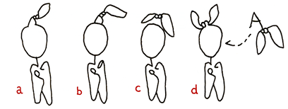Grammatik-Studien: Hannes Katers Darsteller *15 Protagonist mit *16 Knoten EInträge a bis d: bewusste Erinnerung, durchgezogene Kopflinie, nah schwebend und zugeordnet