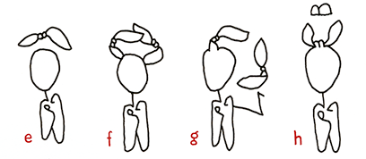 Grammatik-Studien: Hannes Katers Darsteller *15 Protagonist mit *16 Knoten EInträge e bis h nicht ganz dicht schwebend, zwei Knoten, Arm mit Knoten, mit großem B