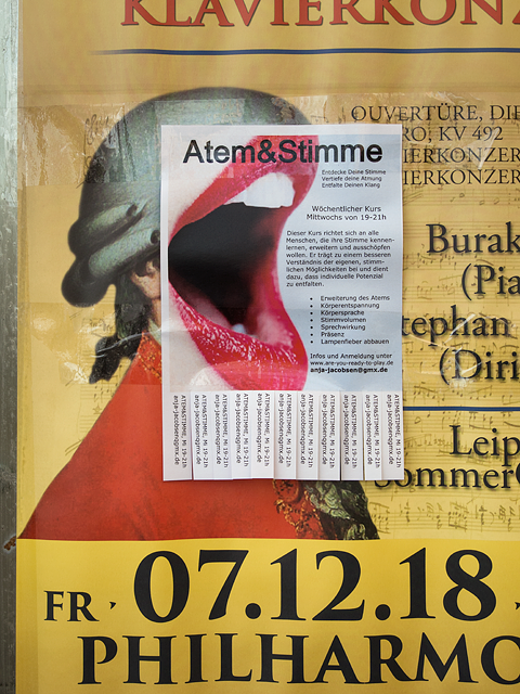 Werbung mit parasitärer Besiedlung – Foto von Hannes Kater